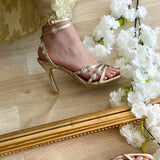 Talons dorés
