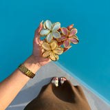 Pinces fleurs