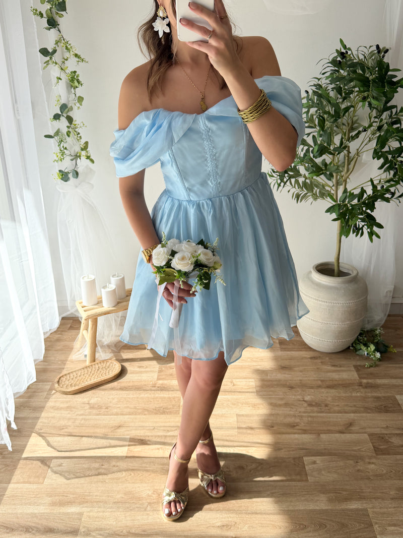 Robe Sandra bleu